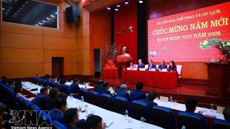 PM calls for rapid actions to implement Party directions on culture